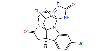 Securamine G